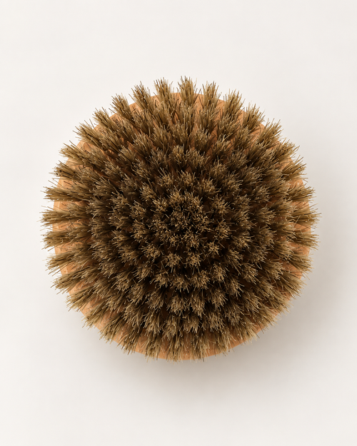 WILDCRUMBLE Ayurveda Dry Brush – Borstenseite von oben